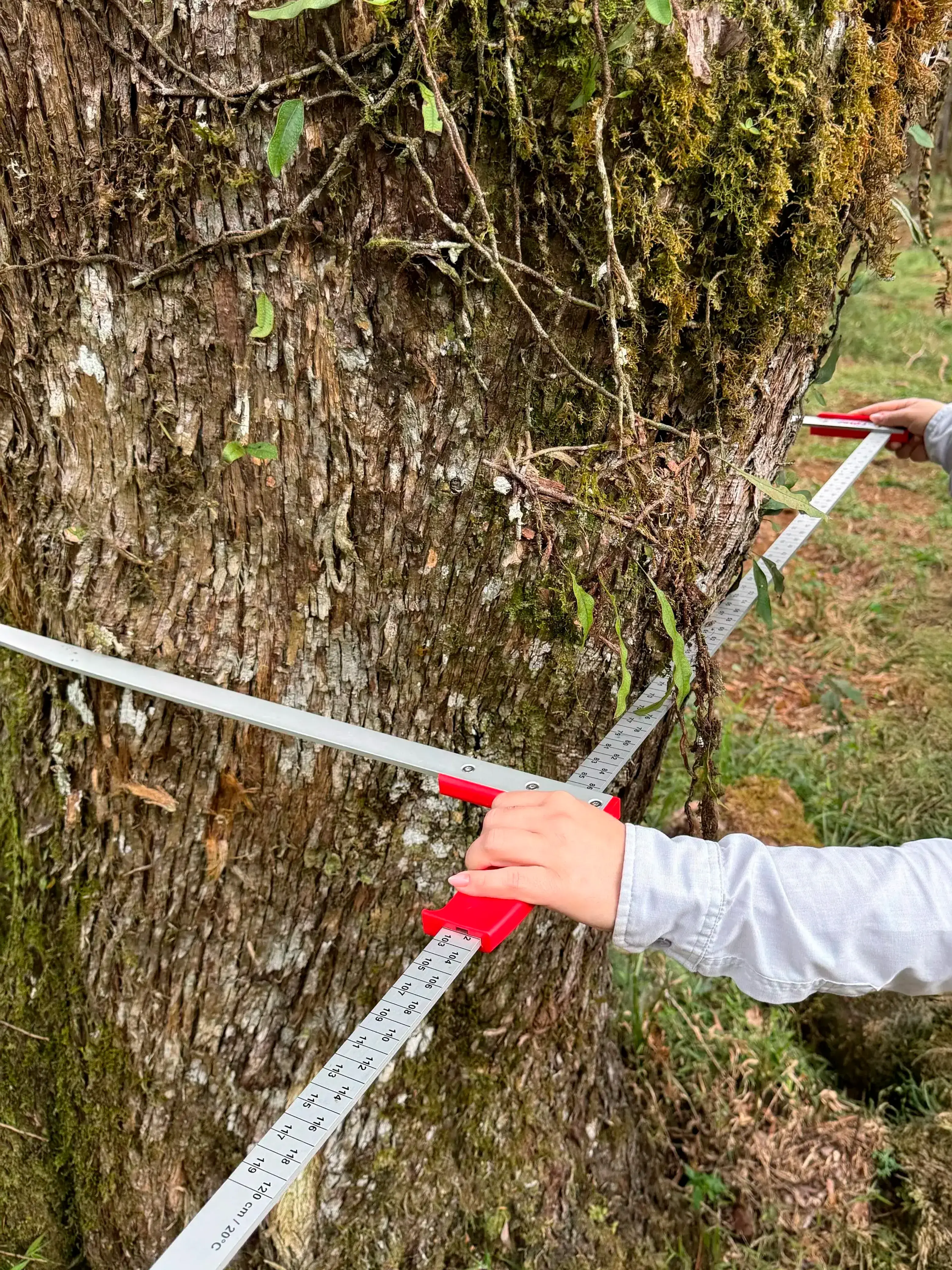 Peso Equipamentos Florestais Sutas Silvanus