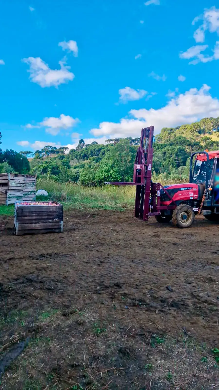 Peso Equipamentos Florestais Torre Empilhadeira Agrícola para Trator